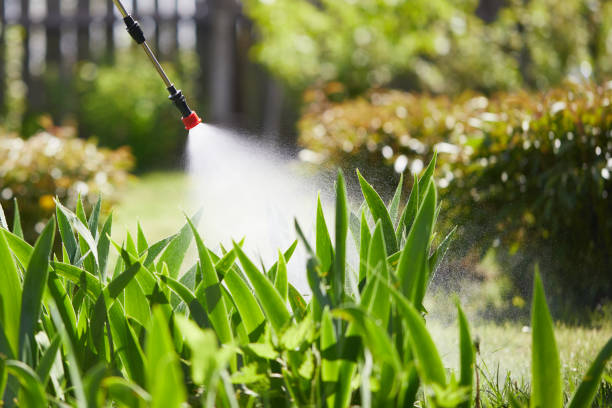 24/7 Emergency Wasp Removal experts in Renton, WA