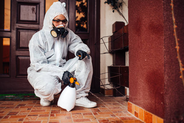 Reliable Wasp Removal contractor in Renton, WA by Show Me Pest Control